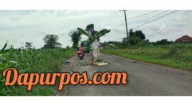 Foto : Penampakan jalan yang rusak di Kecamatan Guluk - guluk Sumenep