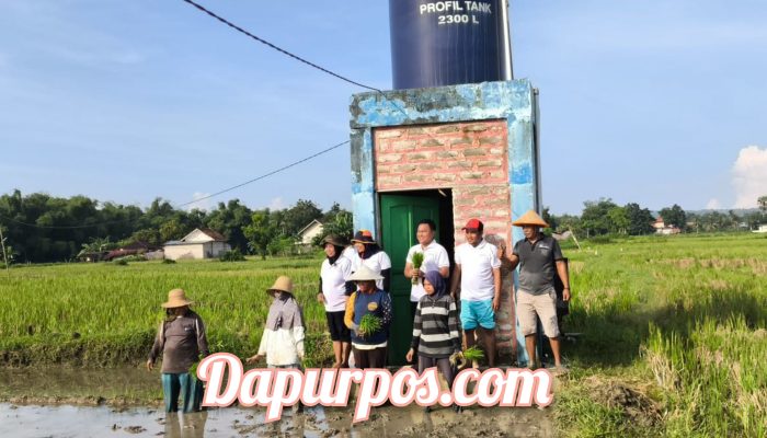 Tokoh Pemuda Asal Saronggi, Bambang Supratman, Dinilai Layak menjadi TA Bupati Sumenep di Bidang Pertanian