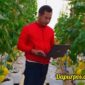 Foto : Rama Ramadlan ketika sedang mengecek tanaman melon