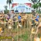 Foto : Wabup Sumenep KH. Imam Hasim beserta Dandim 0827 dan Kapolres Sumenep secara simbolis melakukan petik jagung di Desa Ellak Daya Kec. Lenteng Sumenep