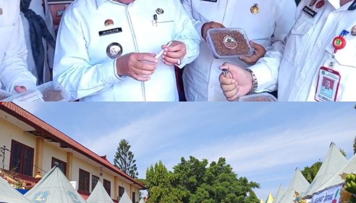 Festival Hari Tani Nasional 2025: BEM UWI & DKPP Sumenep Angkat Produk Lokal Jadi Kekuatan Ekonomi Daerah