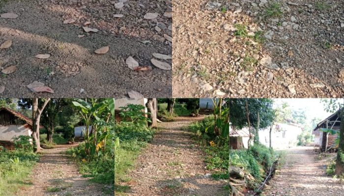 Jalan Rusak, Kepercayaan Retak: Potret Buram Tata Kelola Desa Karangnangka