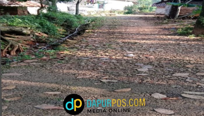 Warga Dusun Langgar Tagih Janji Perbaikan Jalan, Ketua PWRI Jatim Soroti Pengelolaan Anggaran Desa