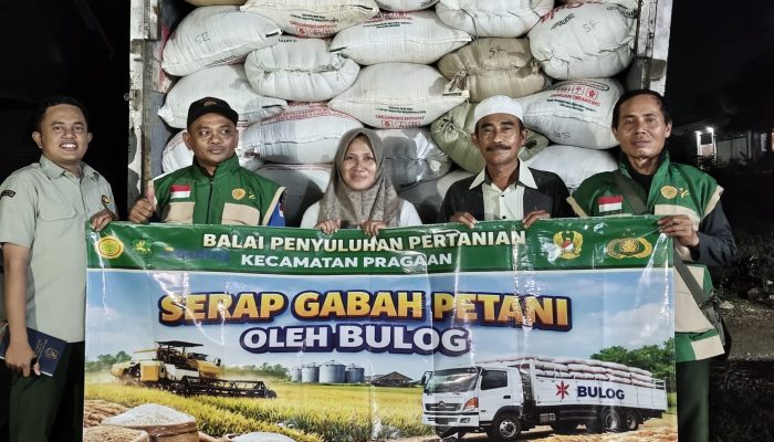 Program Sergab di Pragaan: 5.324 Kg Gabah Petani Diserap Bulog