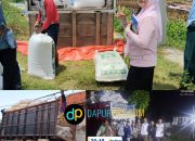 Belum Puncak Panen, Serapan Gabah Sumenep Sudah Lewati 50 Persen Target